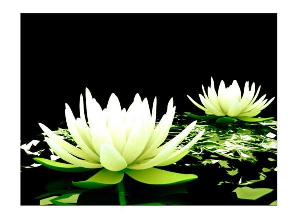 Белый Лотос сериал