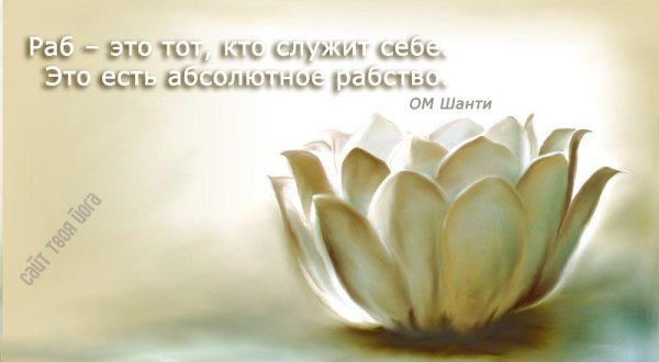 Лотос чистота