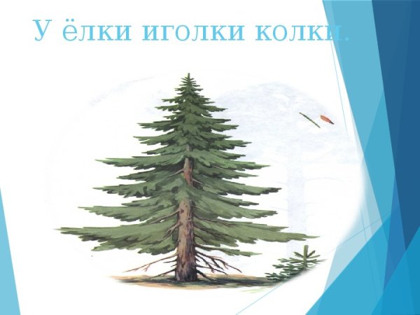 Елки - палки, новый год!