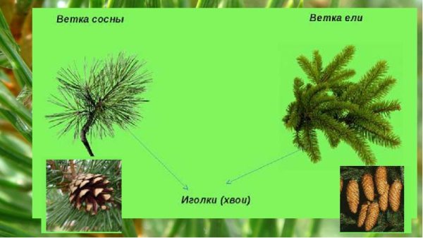 Я родился ради встречи с тобой