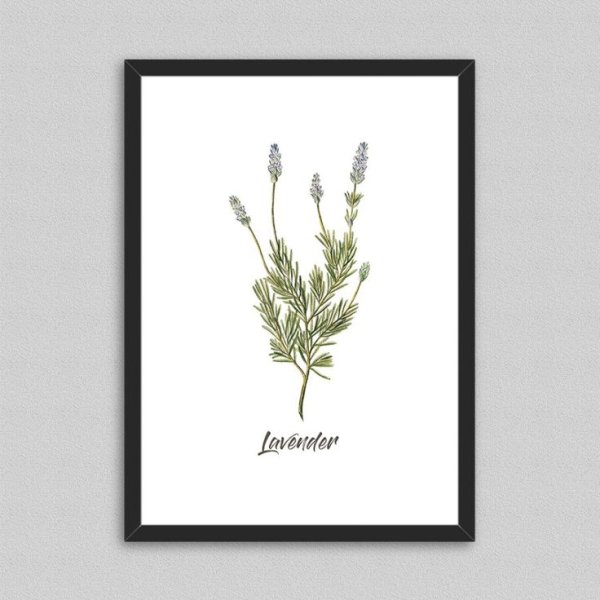 Постер Лаванда