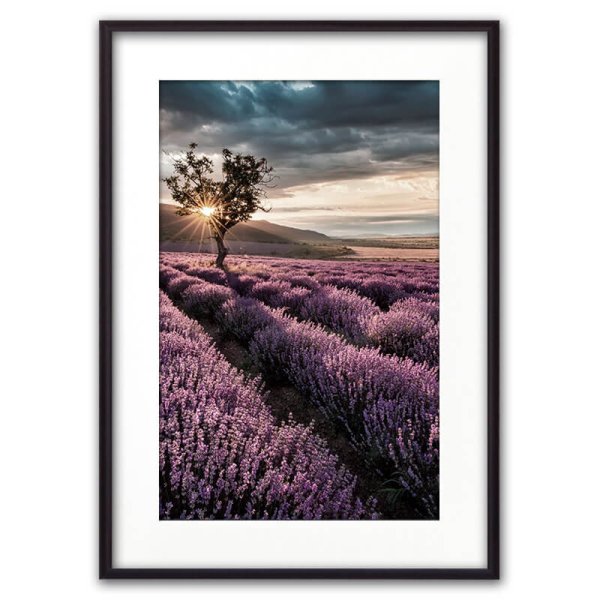 Постер dom Korleone Лавандовое поле 40 х 60 см