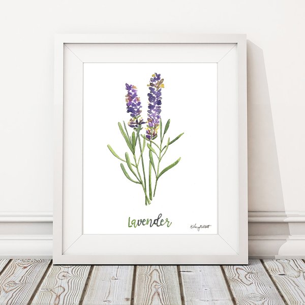 Постер Лаванда