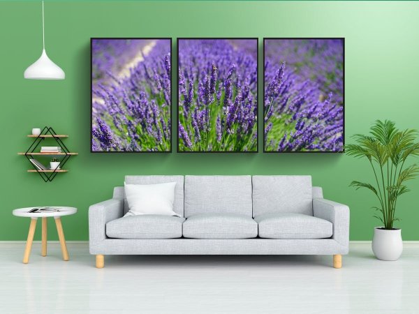 Постер Лавандовое поле