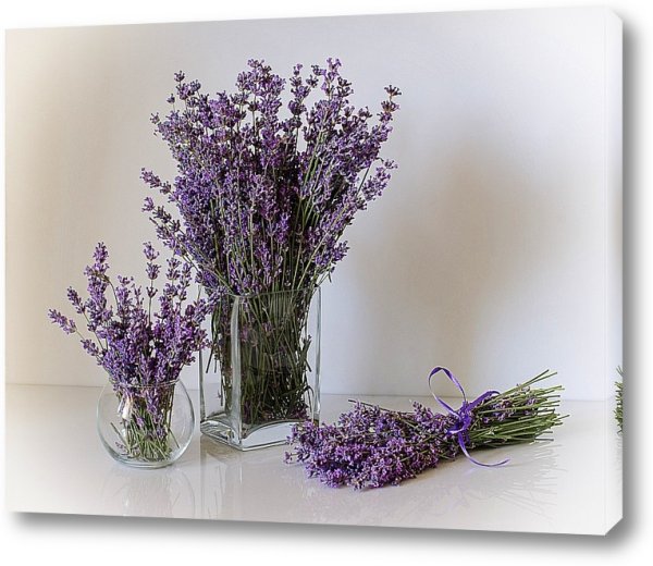 Постеры с лавандой в интерьере