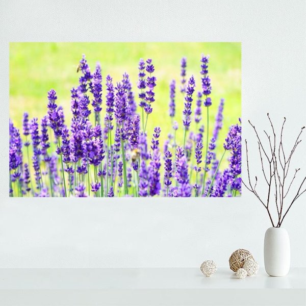 Постеры на кухню с лавандой