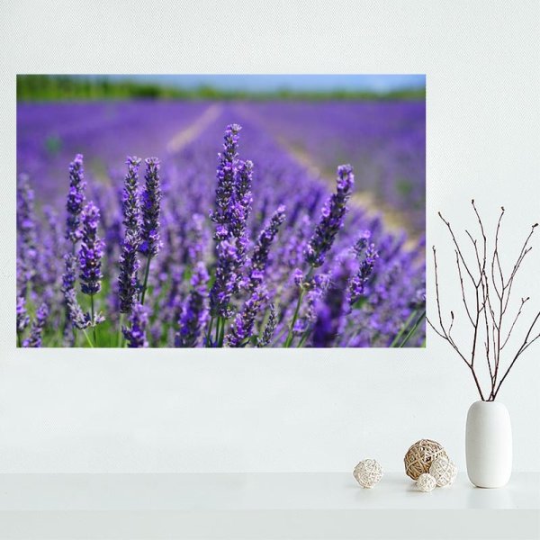 Лаванда Купер