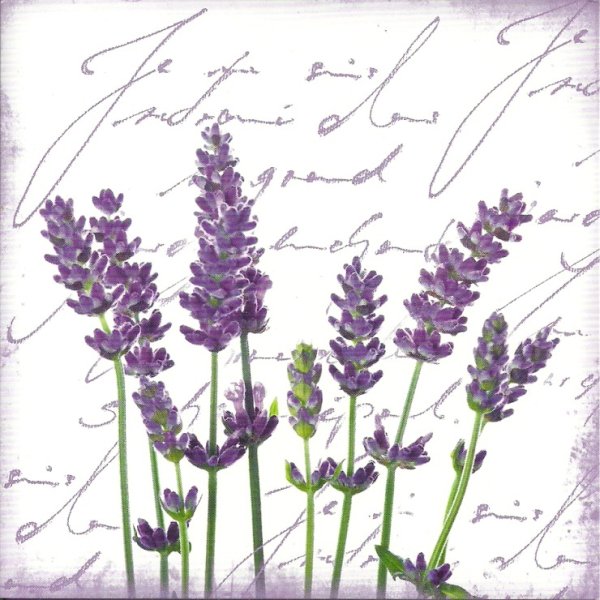 Постеры с лавандой в стиле Прованс