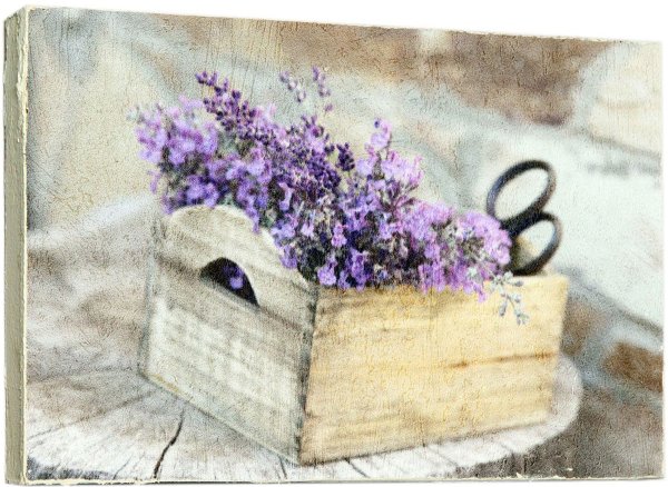 Цветочные ящики с лавандой