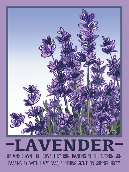 Пазл Trefl Лавандовые поля (10411), 1000 дет.