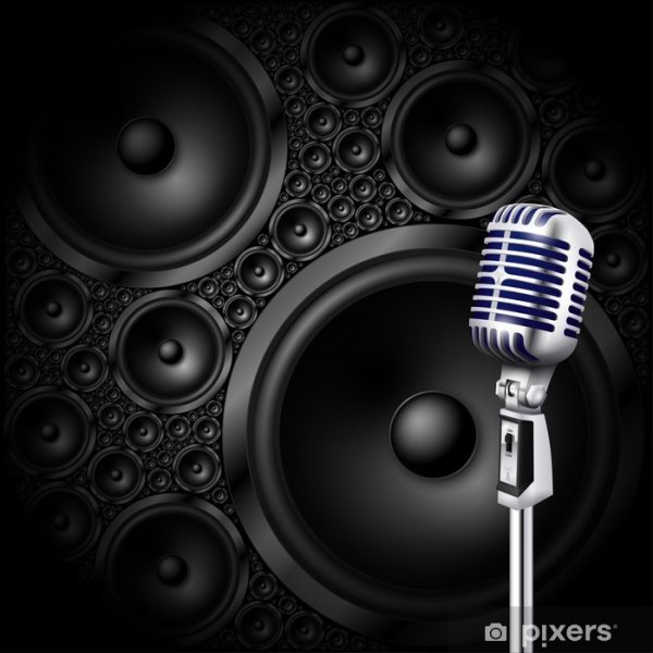 Колонка с микрофоном