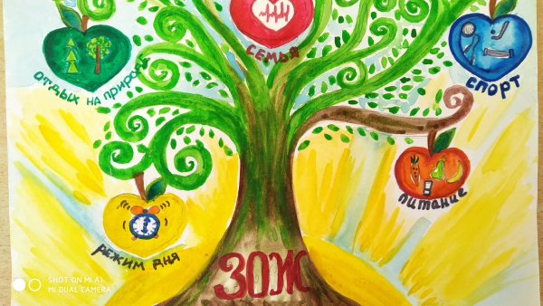 Спортивные плакаты