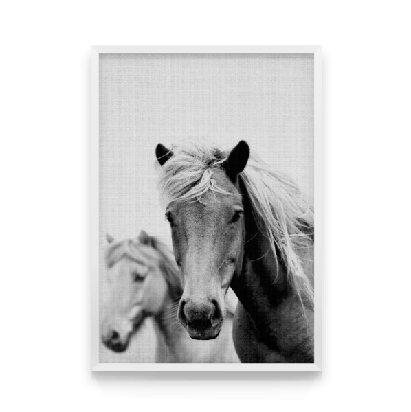 Постеры лошадки