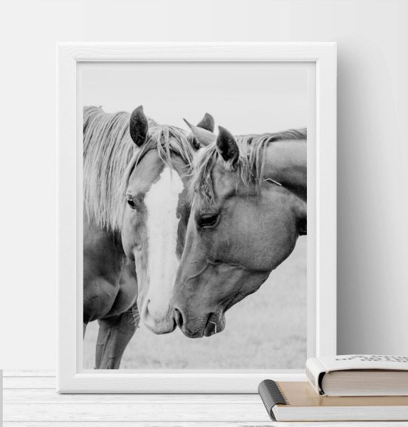 Постер лошадь