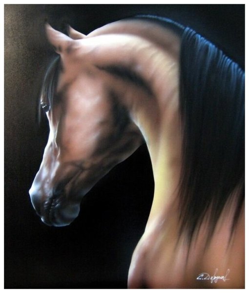 Голова лошади Постер