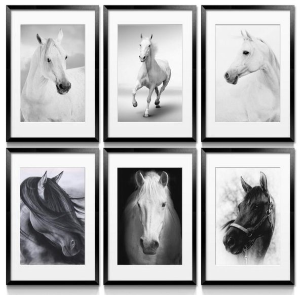 Постер лошадь