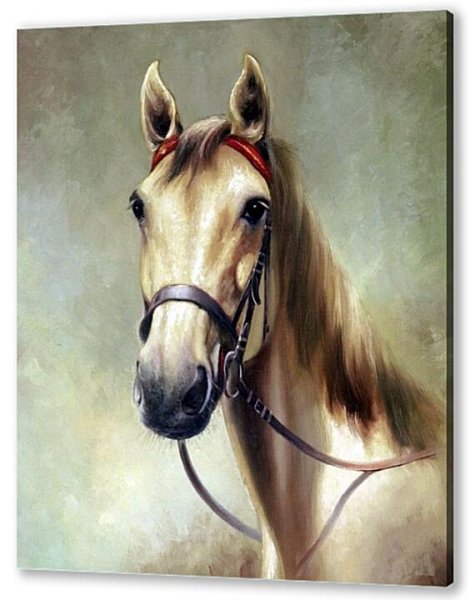 Картины портрет лошади