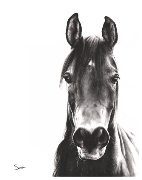 Черно белые картины