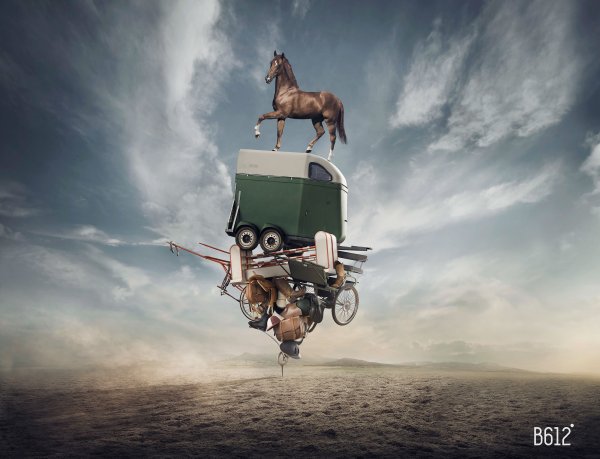 Скакун Постер