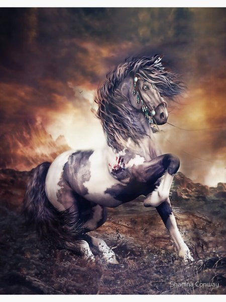 Боевой конь арт