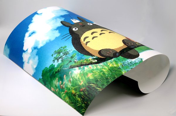 Печать больших фотографий