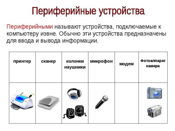 Отметьте устройства предназначенные для ввода информации