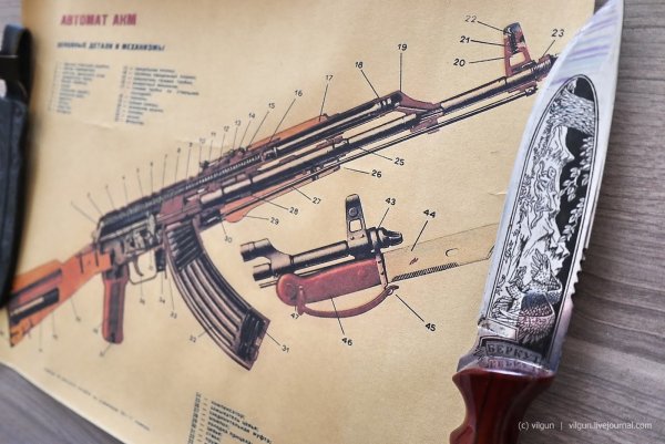 Калашников в разрезе