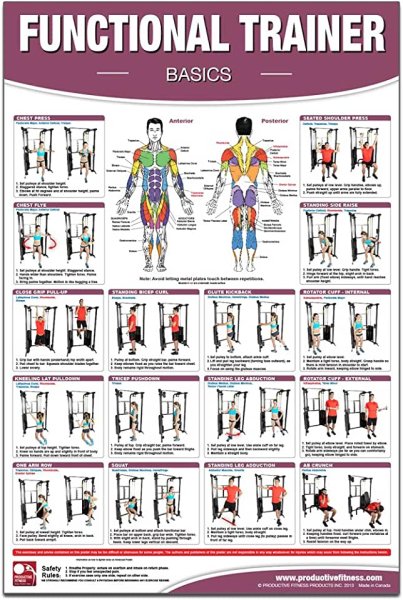 Фразы про тренера