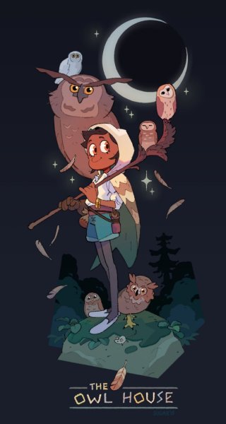 Совиный дом мультфильм