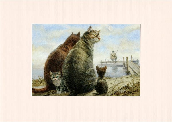 Питерские коты Владимира Румянцева