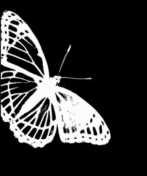 Картина эффект бабочки