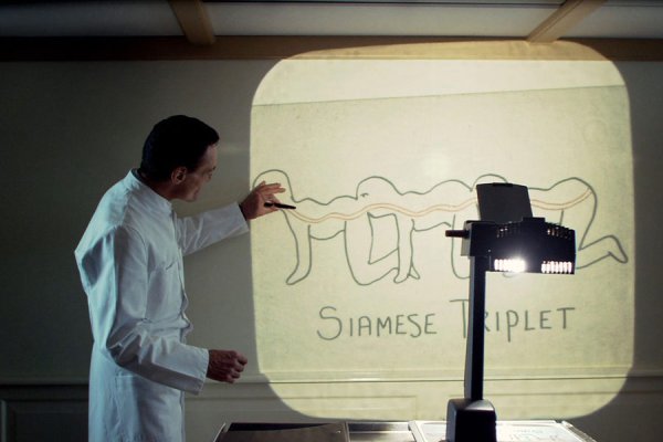 Фильмы 2020 человеческая многоножка