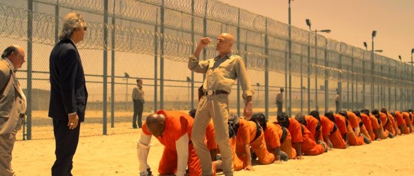 Человеческая сороконожка