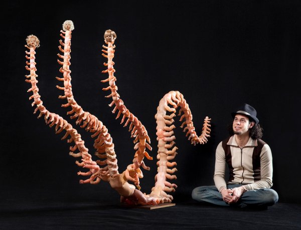 Многоножка Ведьмак