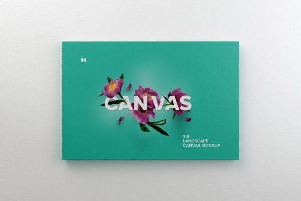 Мокапы для постеров