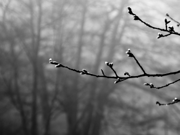 Веселье абстракция