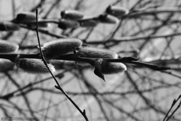 Сумеречные охотники сериал