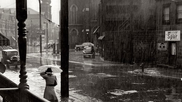 Силуэт женщины в платье из бабочек