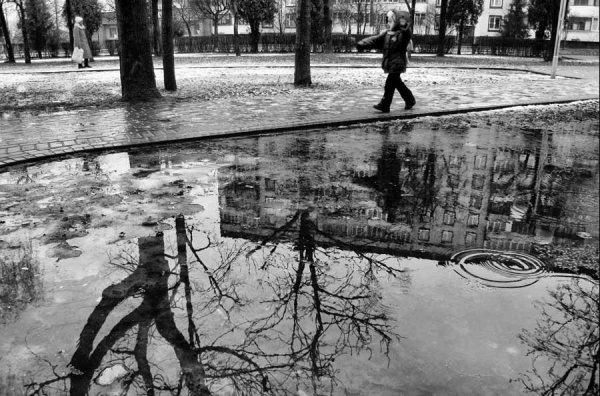 Манга цветы