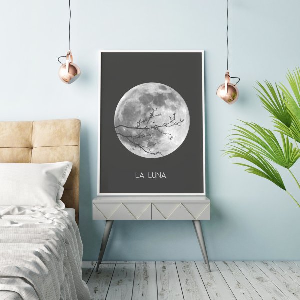 The Moon Постер