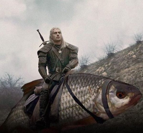 Шевелись плотва Геральт