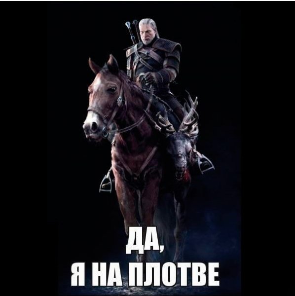 Шевелись плотва Ведьмак 3