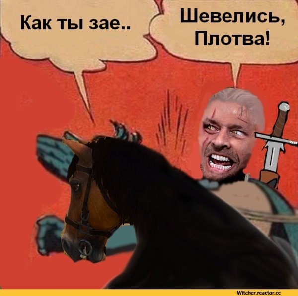 Плотва Ведьмак Мем