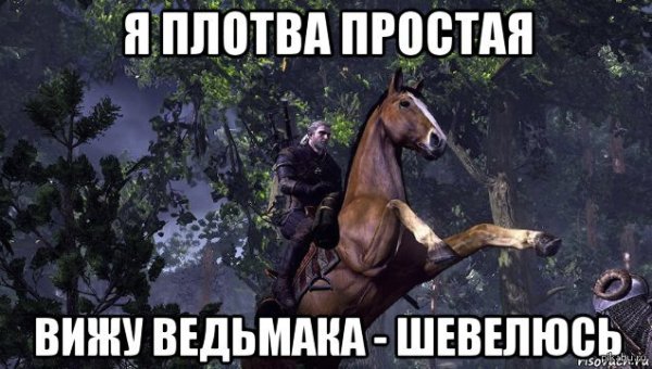 Геральт плотва Мем