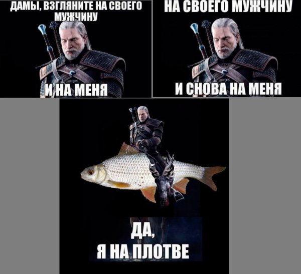 Плотва Ведьмак мемы
