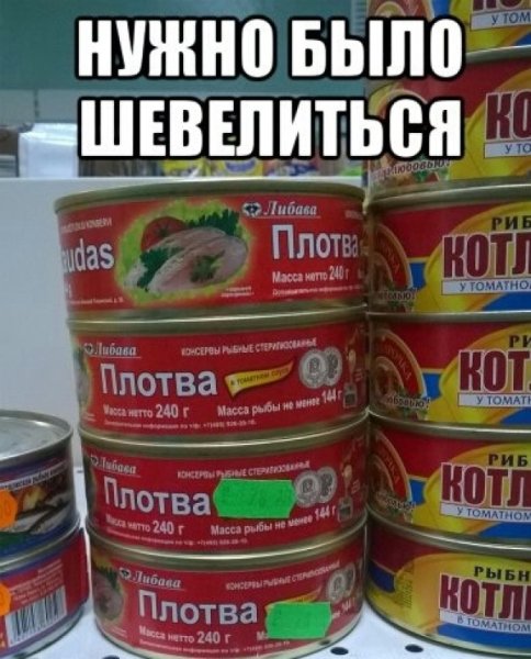 Шевелись плотва