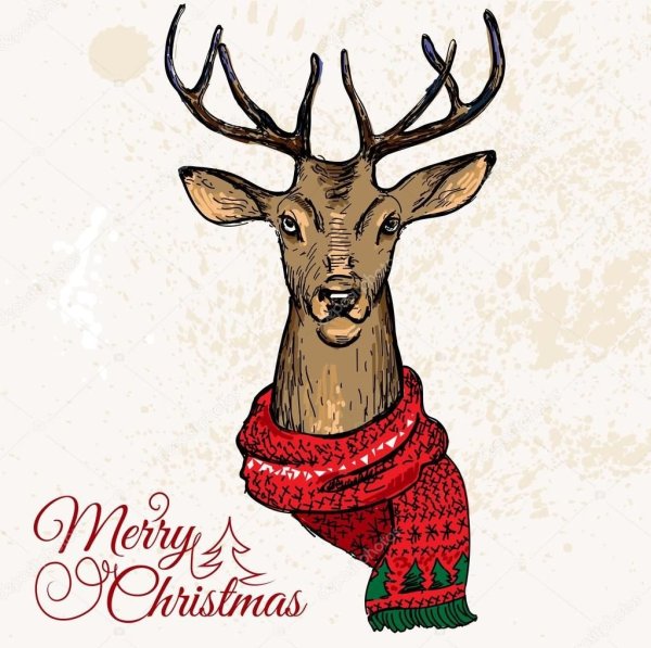 Олень в свитере рисунок