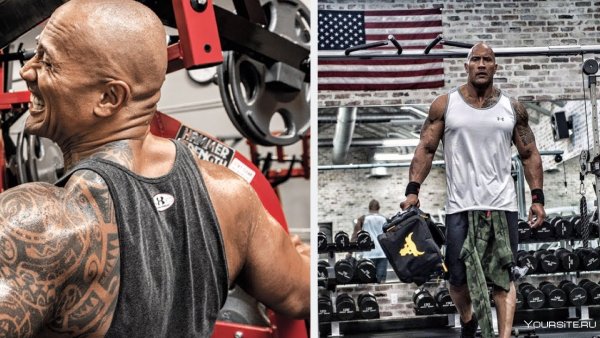 Скала 2021 Дуэйн