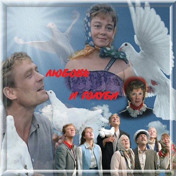 Любовь и голуби фильм 1984 обложка