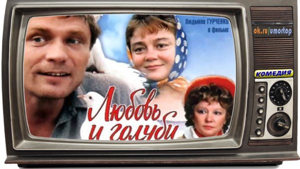 Любовь и голуби фильм 1984 обложка